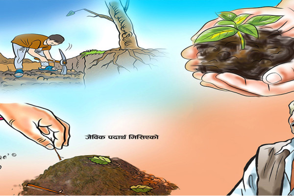 माटोको स्वास्थ्य